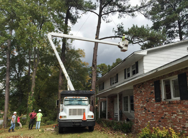 Best Weed Control  in Belmont, NC